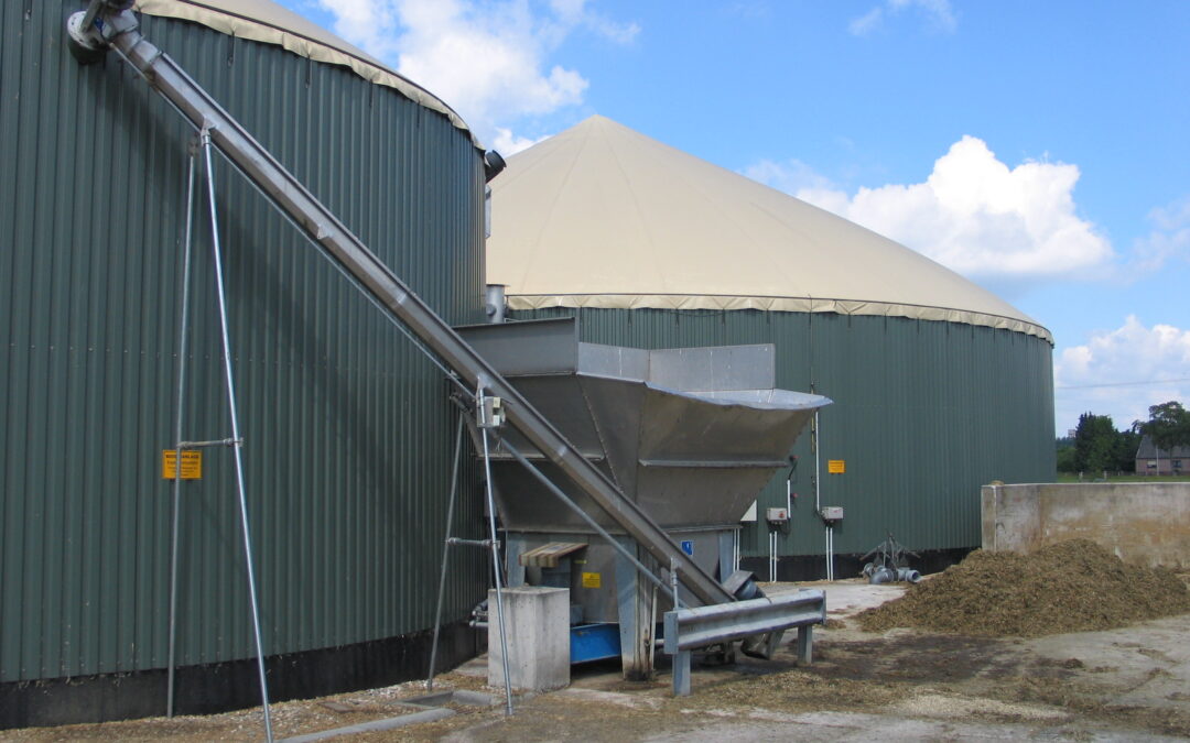 Im Profil: 20 Jahre Fachverband Biogas e. V.