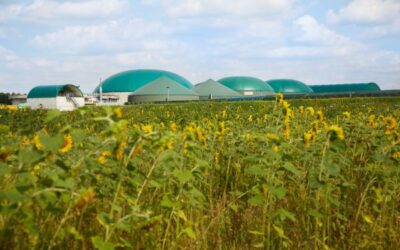 BioConstruct und Next Kraftwerke schließen PPA für 86 Biogas-BHKW ab