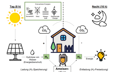 Forscher der Goethe-Universität entwickeln neue Biobatterie zur Speicherung von Wasserstoff