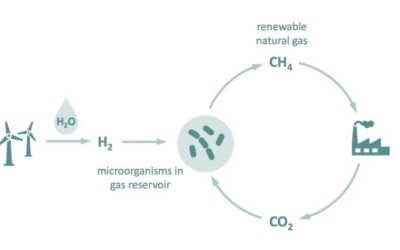 Erdgaserzeugung im Erdgasspeicher durch Mikroben