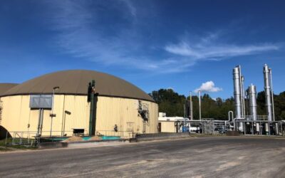 VNG-Tochter Balance erwirbt neunte Biogasanlage in Sachsen
