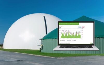 Biogas aktuell wichtigste Stromquelle unter den Erneuerbaren – Speicherkraftwerke produzieren auch an grauen Wintertagen
