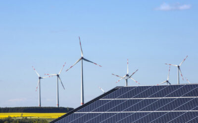 Erneuerbare Energien deckten 2022 fast die Hälfte des Stromverbrauchs